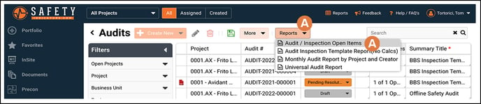 AuditReports-1