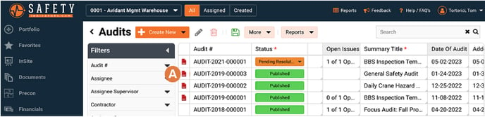 AuditReports-7